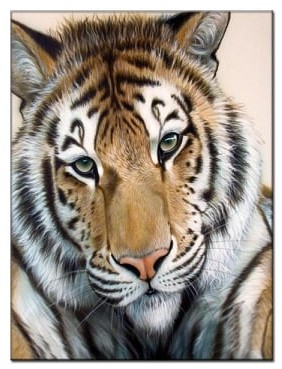 Diamant tavla tiger ansikte 40x50cm fyrkant