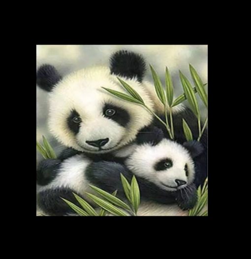 Diamant tavla start kit pandor 20x25cm fyrkant