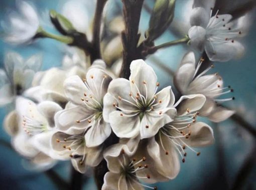 Diamant tavla äpple blomma 50x40cm fyrkantig