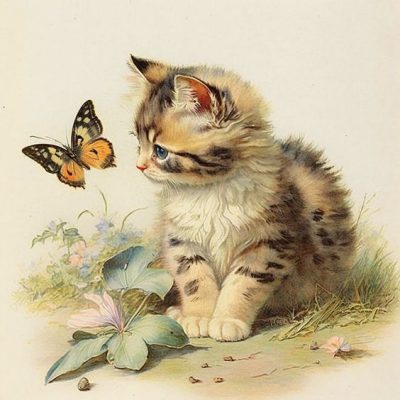 diamondpainting cat with butterfly 40x40cm . Www.beadsandfun.se