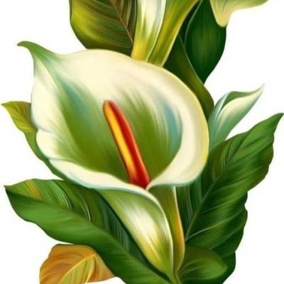 Diamant tavla vit blomma 40x50cm rund