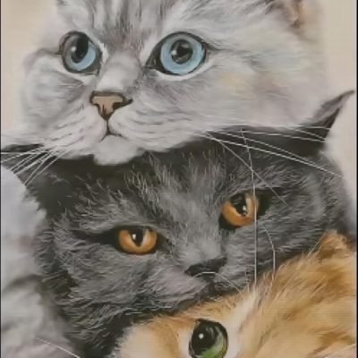 R50694 dp 40x50cm katter fyrkantig pärla