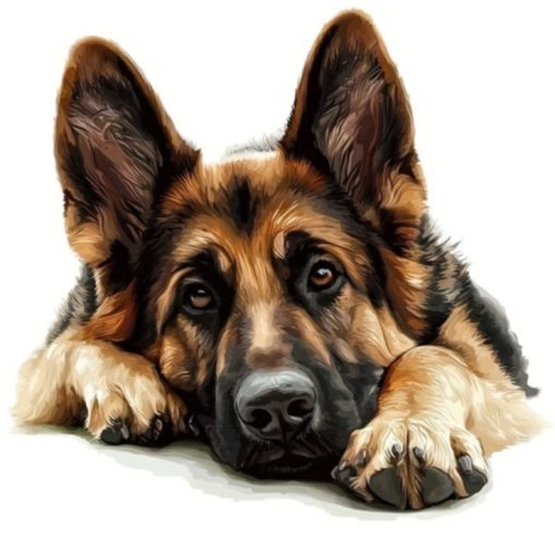 S50699 schäfer hund 40x50cm fyrkantig pärla