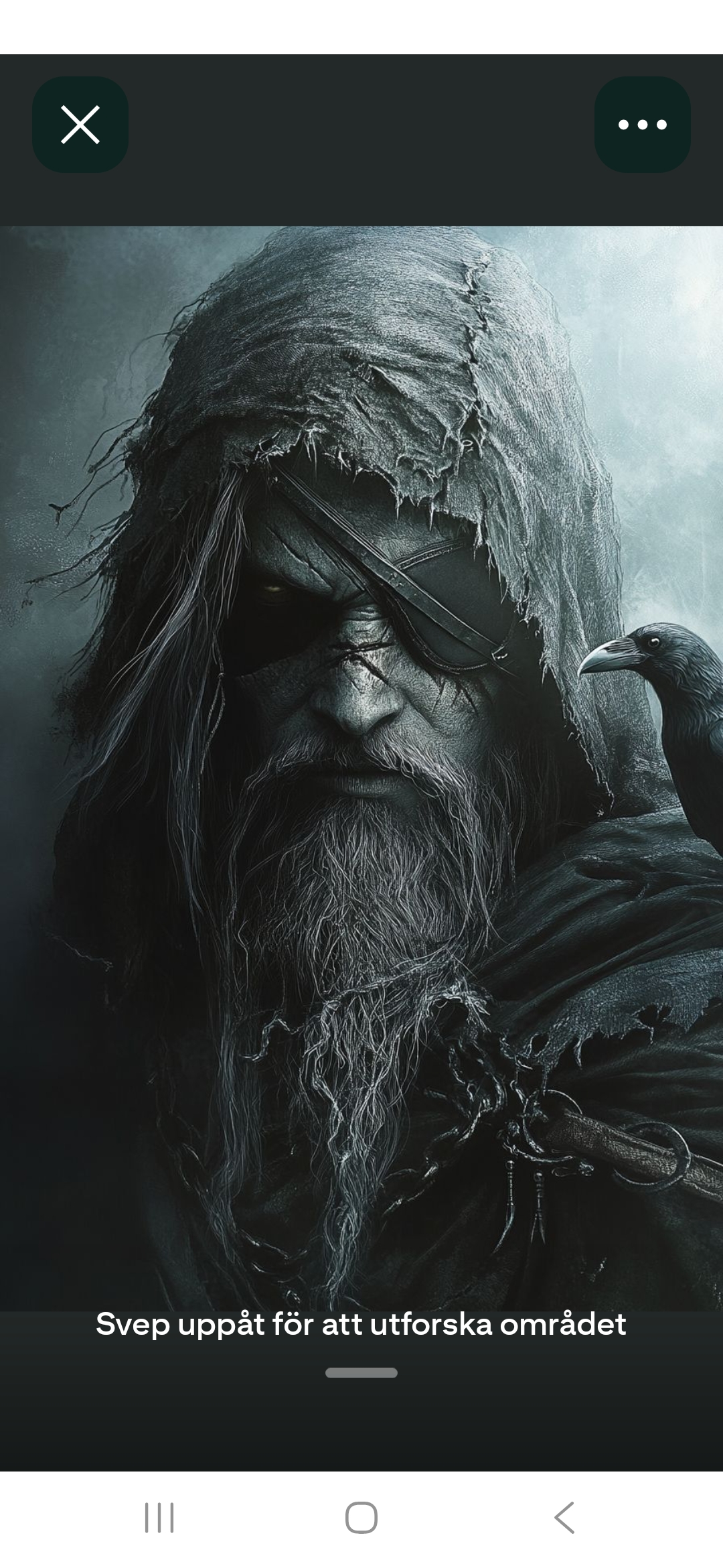 Diamant tavla viking 50x70cm fyrkantig pärla