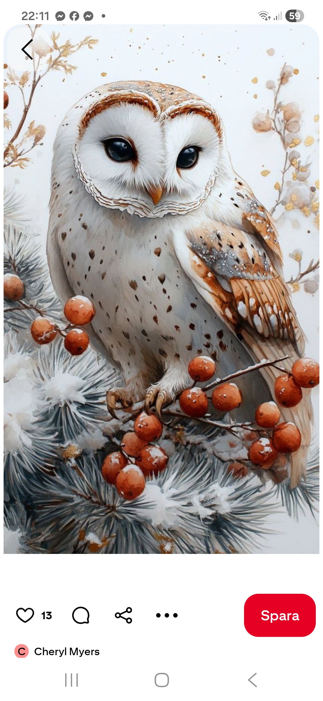 Diamond painting 40x50cm uggla bär fyrkantig pärla